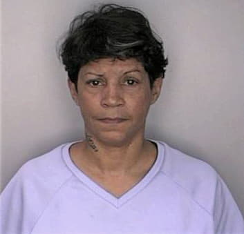 Deleon Nilsa - Hillsborough County, FL 