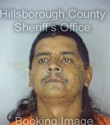 Esguivergarcia Jose - Hillsborough County, FL 