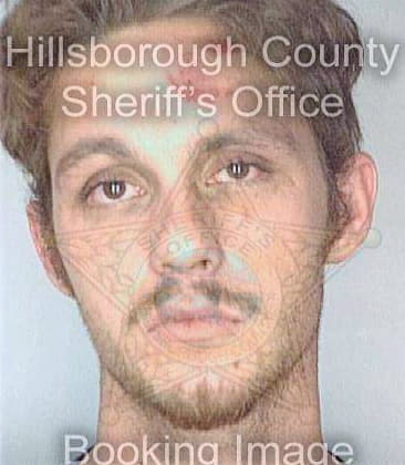 Simpson Michael - Hillsborough County, FL 