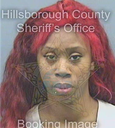 Simmons Kiara - Hillsborough County, FL 
