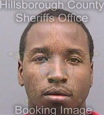 Loyd Deandre - Hillsborough County, FL 