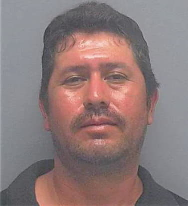 Garcia-Guzman Ruben - Lee County, FL 