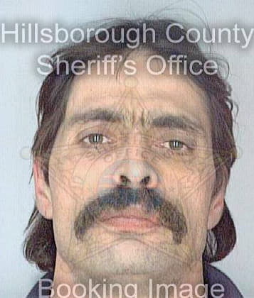 Pelletier Gregory - Hillsborough County, FL 