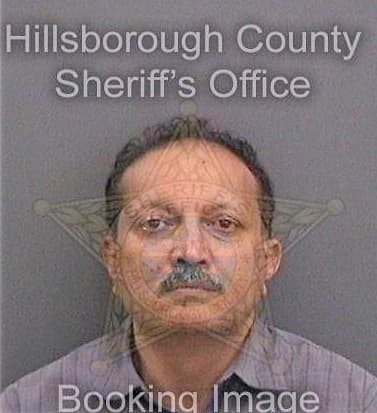 Patel Mineshkum - Hillsborough County, FL 