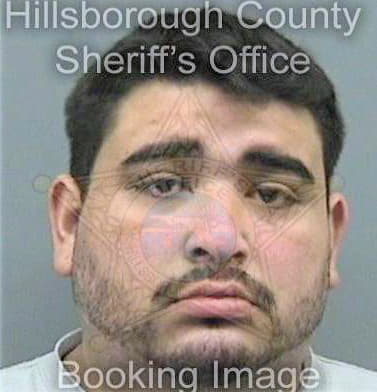 Sanchez Jose - Hillsborough County, FL 