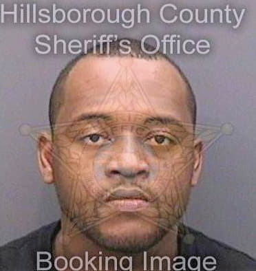 Tillery Lee - Hillsborough County, FL 