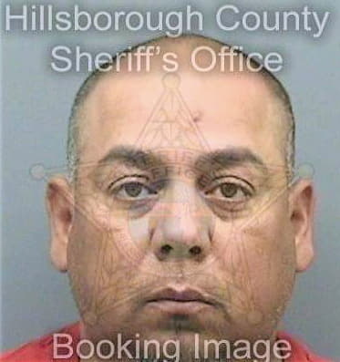 Lozano Ramon - Hillsborough County, FL 