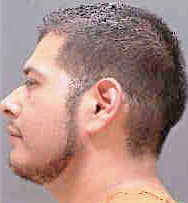 Hernandez Rogelio - Sarasota County, FL 