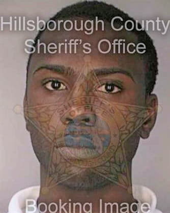 Mitchell Winston - Hillsborough County, FL 