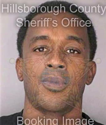 Sirmons Calvin - Hillsborough County, FL 