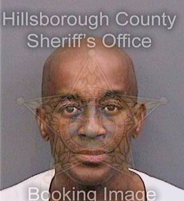 Sirmons Calvin - Hillsborough County, FL 