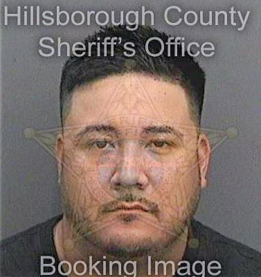 Ramos Pedro - Hillsborough County, FL 