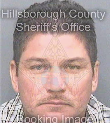 Gomez Jose - Hillsborough County, FL 