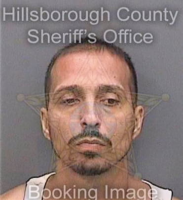 Toledo Willie - Hillsborough County, FL 