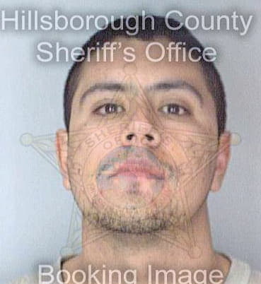Hernandez Alphonso - Hillsborough County, FL 