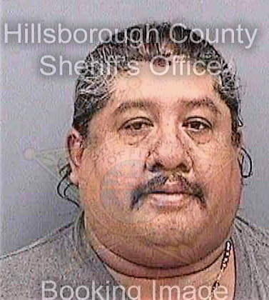 Mendezcortez Lorenzo - Hillsborough County, FL 