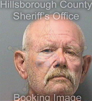 Der David - Hillsborough County, FL 