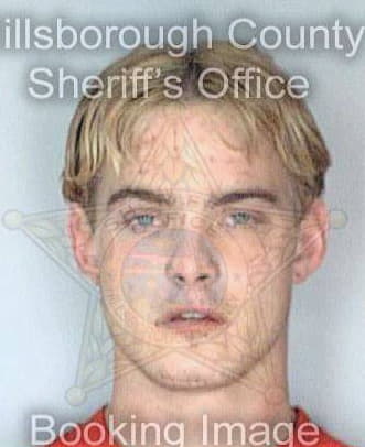 Lewis Andrew - Hillsborough County, FL 