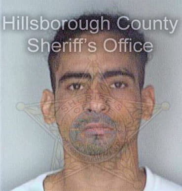 Rivera Effrans - Hillsborough County, FL 