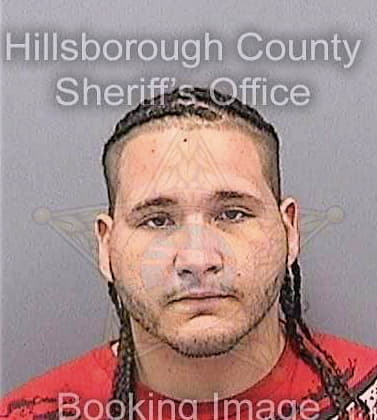 Chaparro Roger - Hillsborough County, FL 