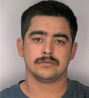 Garcia Roy - Hillsborough County, FL 