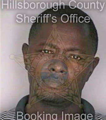 Bivins Bobby - Hillsborough County, FL 