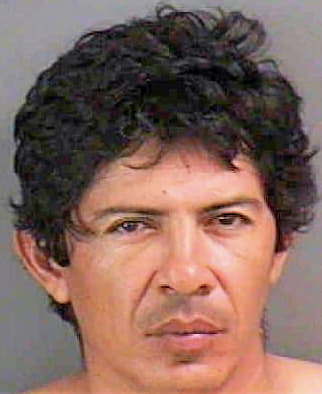 Arce Marcelo - Collier County, FL 