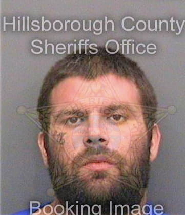 Virgillo Vincent - Hillsborough County, FL 