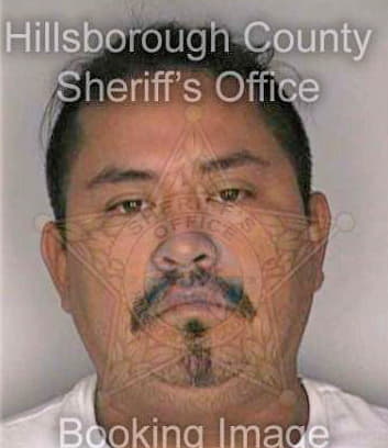 Mena Juan - Hillsborough County, FL 