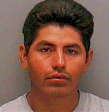 Hernandez Manuel - Lee County, FL 