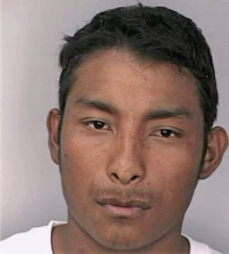 Meila Brayan - Hillsborough County, FL 