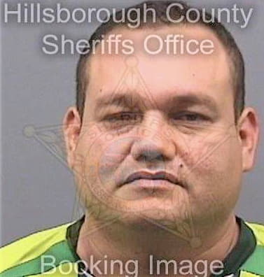 Villatoroortiz Geovanni - Hillsborough County, FL 