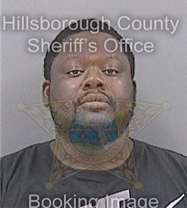 Stephens Kyle - Hillsborough County, FL 