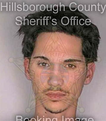 Sanchez Emanuel - Hillsborough County, FL 