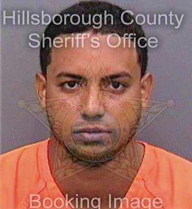 Mercedescabrera Hector - Hillsborough County, FL 