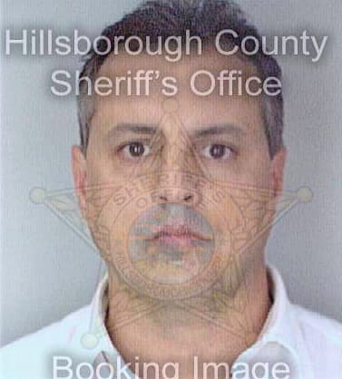 Nunez David - Hillsborough County, FL 