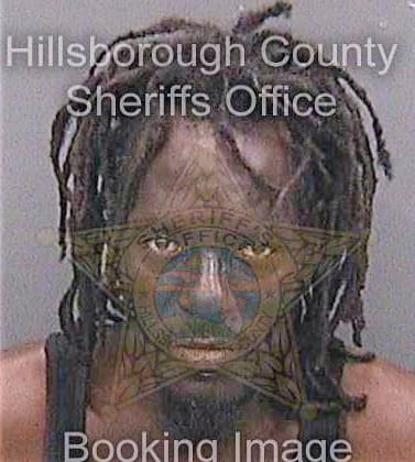 Johnson Demetrius - Hillsborough County, FL 