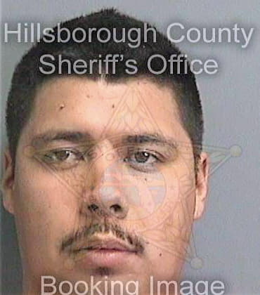 Callejasmejia Jose - Hillsborough County, FL 