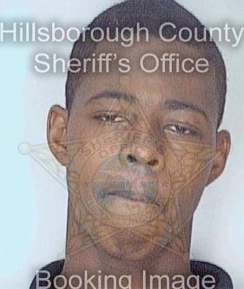 Ferguson Derrick - Hillsborough County, FL 