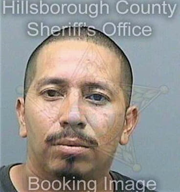 Ortiz Mario - Hillsborough County, FL 