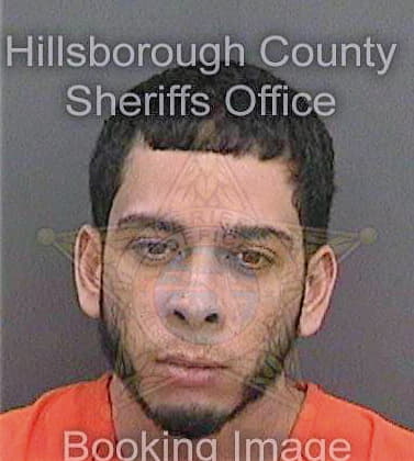 Torresnazario Osvaldo - Hillsborough County, FL 