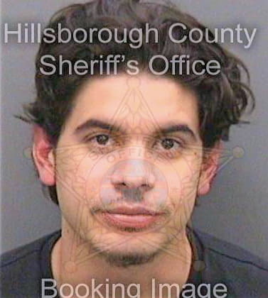 Lopez Alejandro - Hillsborough County, FL 