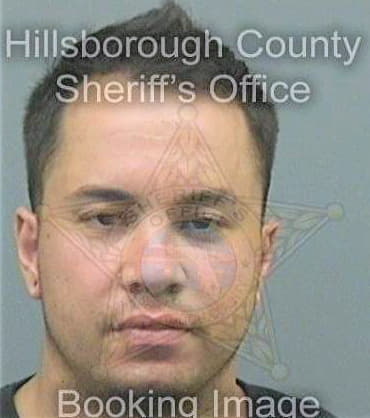 Delara Tyron - Hillsborough County, FL 