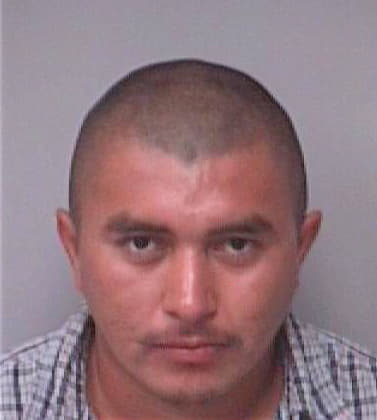 Chavez Fausto - Pinellas County, FL 