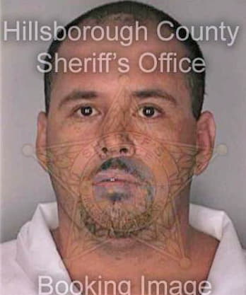 Lopezsanchez Raul - Hillsborough County, FL 