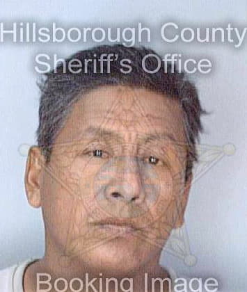 Pinaleon Jose - Hillsborough County, FL 