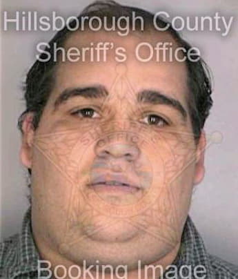 Sosa Anthony - Hillsborough County, FL 