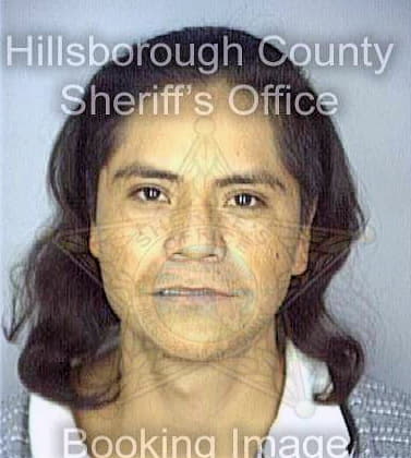 Pereztrejo Benito - Hillsborough County, FL 