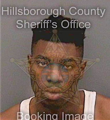 Edward Enock - Hillsborough County, FL 