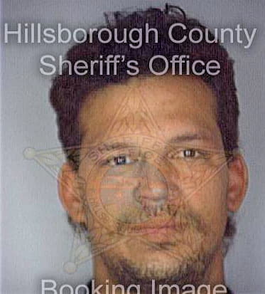 Bowser Joshua - Hillsborough County, FL 